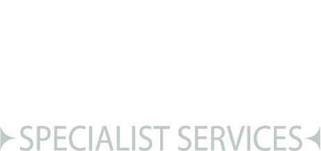 DNS Specialist Services Logo White